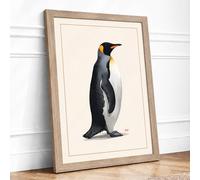 King Penguin in Profile Botanical Framed Wall Art Print A4 (29.7×21cm) Oak, Wall Decor for Living Room, Bedroom, Office & Home, Ready to Hang, Art Gift