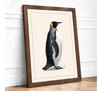King Penguin in Profile Botanical Framed Wall Art Print A4 (29.7×21cm) Walnut, Wall Decor for Living Room, Bedroom, Office & Home, Ready to Hang, Art Gift