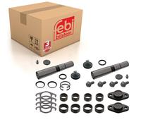 King Pin Set Inc Thrust Bearing Double Set Fits IVECO EuroCargo EuroF Febi 18418