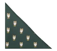 King & Priory Dark Green Embroidered Owl Pocket Square, Handkerchief