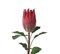 King Protea Flowers Artificial,Real Touch Silk Protea Bouquet Tropical Silk Tall Flower Arrangements Artificial Flowers Centerpieces for Tables Wedding Bridal Bouquet Home Decor(Dark Red)
