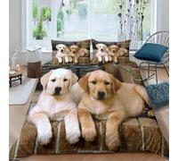 King Size Duvet Cover Set Golden Retriever Soft Microfiber Cute Animal Pets Bedding 3D Printed Quilt Cover 230x220 and 2 Pillowcases 50x75 with Zipper Closure Easy Care E-779