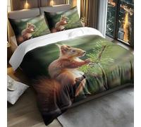 King Size Duvet Cover Sets Squirrel Bedding & Linen Soft And Snuggly,Kids Single Duvet Cover Set Easy Care,Duvet And 2 Matching Pillow Set,Bedding Sets