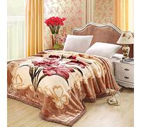 King Size Weighted Blanket,Warm Mink Blankets Queen Size Heavy Korean Plush Fleece Blanket, Reversible Raschel Bed Blanket,A,200 * 230cm4kg