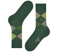 King Socks - Green Multi One Size