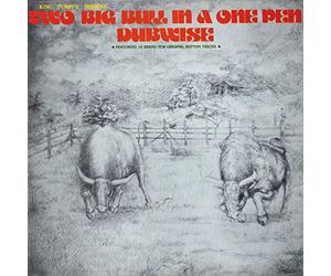 King Tubbys - Two Big Bull in a One Pen (Dubwise Versions) [VINYL]