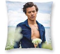 KINGAM Harry Styles Pillow cover Throw pillowcase Decorative Cushion Case Gift for Birthday Wedding Couple Anniversary Graduation(50cmX50cm)-20x20