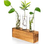 Kingbuy 3 Crystal Glass Test Tube Holder in Wooden Stand Flower Vase Pots Propagation Station for Hydroponic Plants Home Garden Decoration,Brown Wood. (Rectangular Wooden Frame)