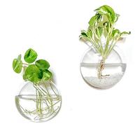 Kingbuy Wall Hanging Glass Planter Propagation Station - 2 Pack Oblate Globe Wall-Mounted Vases for Indoor Hydroponic Air Plants Bathroom Living Room Office Decor Gift for Women, Mom, Plants Lovers
