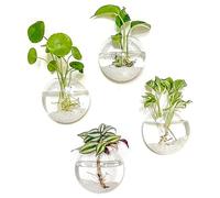 Kingbuy Wall Hanging Glass Planter Propagation Station - 4 Pack Oblate Globe Wall-Mounted Vases for Indoor Hydroponic Air Plants Bathroom Living Room Office Decor Gift for Women, Mom, Plants Lovers