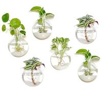 Kingbuy Wall Hanging Glass Planter Propagation Station - 6 Pack Oblate Globe Wall-Mounted Vases for Indoor Hydroponic Air Plants Bathroom Living Room Office Decor Gift for Women, Mom, Plants Lovers