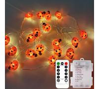 KINGCOO 9.8 ft 30 LED Ladybird Copper Wire Fairy Decorative Fairy Lights Battery Operated with Remote Timer for Summer Children Bedroom Valentine's Day Christmas Wedding Party DIY Decorations