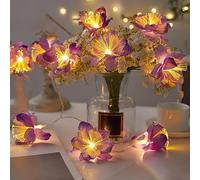 KINGCOO Fiber Optic Flower String Lights, LED Mini Firework Indoor Outdoor Fairy Decorative Lights Battery Operated for Bedroom Wedding Christmas Party Easter Cottage Decoration (Purple, 3M 20LED)