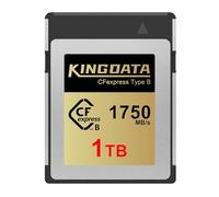KINGDATA CFexpress Type B 1TB Memory Card, Up to 1750MB/s Read, RAW 8K Video and Photo, Memory Cards for Camera, Professional Photography
