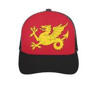 Kingdom of The West Saxons Wessex Flag Dragon Men's Baseball Cap Mesh Dad Hat Adjustable Sport Outdoor Headwear for Women