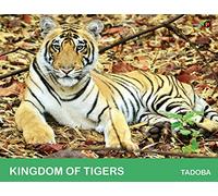 Kingdom of Tigers - Tadoba