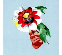 Maribou State - Kingdoms In Colour - CD (2018)