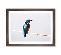 Kingfisher 2 Modern Framed Print | A3 Walnut Framed Wall Art | Ready to Hang | Modern Nature Picture | Living Room Bedroom Lounge Office