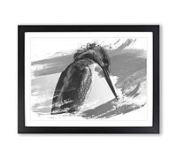 Kingfisher Bird 2 V1 Modern Framed Print | A4 Black Framed Wall Art | Ready to Hang | Modern Nature Picture | Living Room Bedroom Lounge Office