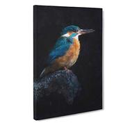 Kingfisher Bird Canvas Wall Art Print 30x20 Inch
