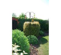 Kingfisher Bird Feeding Station