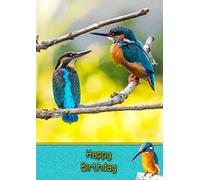 Kingfisher Birthday Card