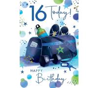 Kingfisher Cards Male Milestone Birthday Greeting Card - Age 16 - From The Fruitini Range - Sports Bag -With A Blue Foil Finish - For Him