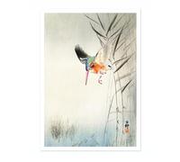 Kingfisher Hunting For Fish In The Water Ohara Koson Poster, Japanese Woodblock Ukiyo-E Print, Vintage Bird Art Picture Animal Painting Wall Art, Birds Home Decor, A5 (Print Only) - 21x14.8cm