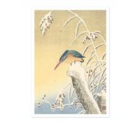 Kingfisher In The Snow Ohara Koson Poster, Japanese Woodblock Ukiyo-E Print, Vintage Bird Art Picture Animal Painting Wall Art Exhibition, Japan Birds Home Decor, A3 (Print Only) - 42x29.7cm
