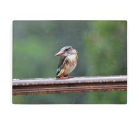 Kingfisher Large Rectangular Glass Worktop Protector - Wild Birds Gift - Smooth Kitchen Chopping/Cutting Board Worktop Saver with Non-Slip Feet 39cm x 28.5cm (15" x 11")