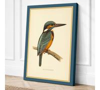 Kingfisher Study Vintage Canvas Wall Art Print 18x12 Inch (46 x 30 cm)