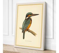 Kingfisher Study Vintage Canvas Wall Art Print 18x12 Inch (46 x 30 cm)