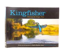 Kingfisher: Tales from the Halcyon River