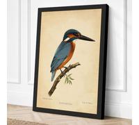 Kingfisher Vintage Canvas Wall Art Print 18x12 Inch (46 x 30 cm)