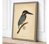 Kingfisher Vintage Canvas Wall Art Print 18x12 Inch (46 x 30 cm)