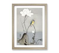 Kingfisher With Lotus Flower By Ohara Koson Asian Japanese Framed Print | A2 Oak Framed Wall Art | Ready to Hang | Asian Floral Picture | Living Room Bedroom Lounge Office