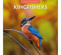 Kingfishers - 2026 Square Wall Calendar - by Red Robin Publishing