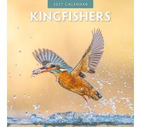 Kingfishers - 2027 Square Wall Calendar - by Red Robin Publishing