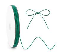 KINGLAKE 100m Green Jute String, 2mm Garden Twine Hemp Thin Rope String for Gift Wrapping, Crafts, Christmas Decorations, Gardening Plant Support