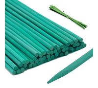 KINGLAKE 50Pcs Green Plant Support Sticks 60cm, Bamboo Plant Stakes Split Canes, Floral Sticks Garden Flower Sticks for Orchid Pea Vegetables Support (24 Inch)