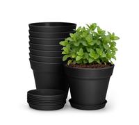 KINGLAKE 8 Pcs Small Plant Pots Indoor, 10cm Black Plastic Plant Seedling Pots with Drainage Holes and Trays, Modern Decorative Flower Pot for Herb Succulents and Small House Plants Desk Windowsills