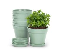 KINGLAKE 8 Pcs Small Plant Pots Indoor, 10cm Green Plastic Plant Seedling Pots with Drainage Holes and Trays, Modern Decorative Flower Pot for Herb Succulents Small House Plants Desk Windowsills