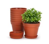 KINGLAKE 8 Pcs Small Plant Pots Indoor, 10cm Terracotta Plastic Plant Seedling Pots with Drainage Holes and Trays, Modern Decorative Flower Pot for Herb Succulents Small House Plants Desk Windowsills
