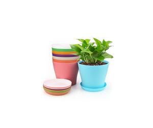 KINGLAKE 8Pcs 10cm Small Plant Pots Plastic Colorful Flower Pots Indoor Plant Pots for Office House Desk with Pallet/Trays, 8 Colors