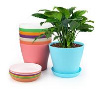 KINGLAKE 8Pcs 17cm Plastic Plant Pots Colorful Large Flower Pots with Pallet/Trays for Indoor Outdoor Office House Desk, 8 Colors
