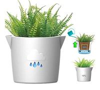 King's Gardening Clever Pot - Self Watering Pot for Indoor Outdoor Use, Animated Cloud Water Level Indicator, UV Resistant Planter, Ideal for Flowers, African Violets, and More 8" (Pearl Cloud)