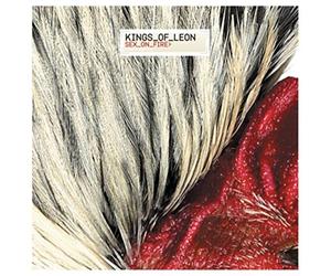 Kings Of Leon - Sex On Fire