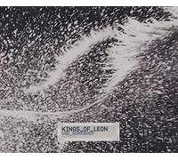 Kings Of Leon - Use Somebody