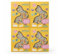 Kingsbridge Easter Chocolate Bunny Bars | Pack of 4 Belgian Milk Chocolate with Candy Coated Milk Topping, For Easter Gifts and Hampers