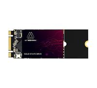 Kingshark gamer SSD M.2 2260 64GB Internal Solid State Drive High-Performance Hard Drive for Desktop Laptop SATA III 6Gb/s (64GB, 2260)
